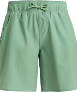 Roxy Roxy Classics 5" - Boardshorts für Frauen Schwarz